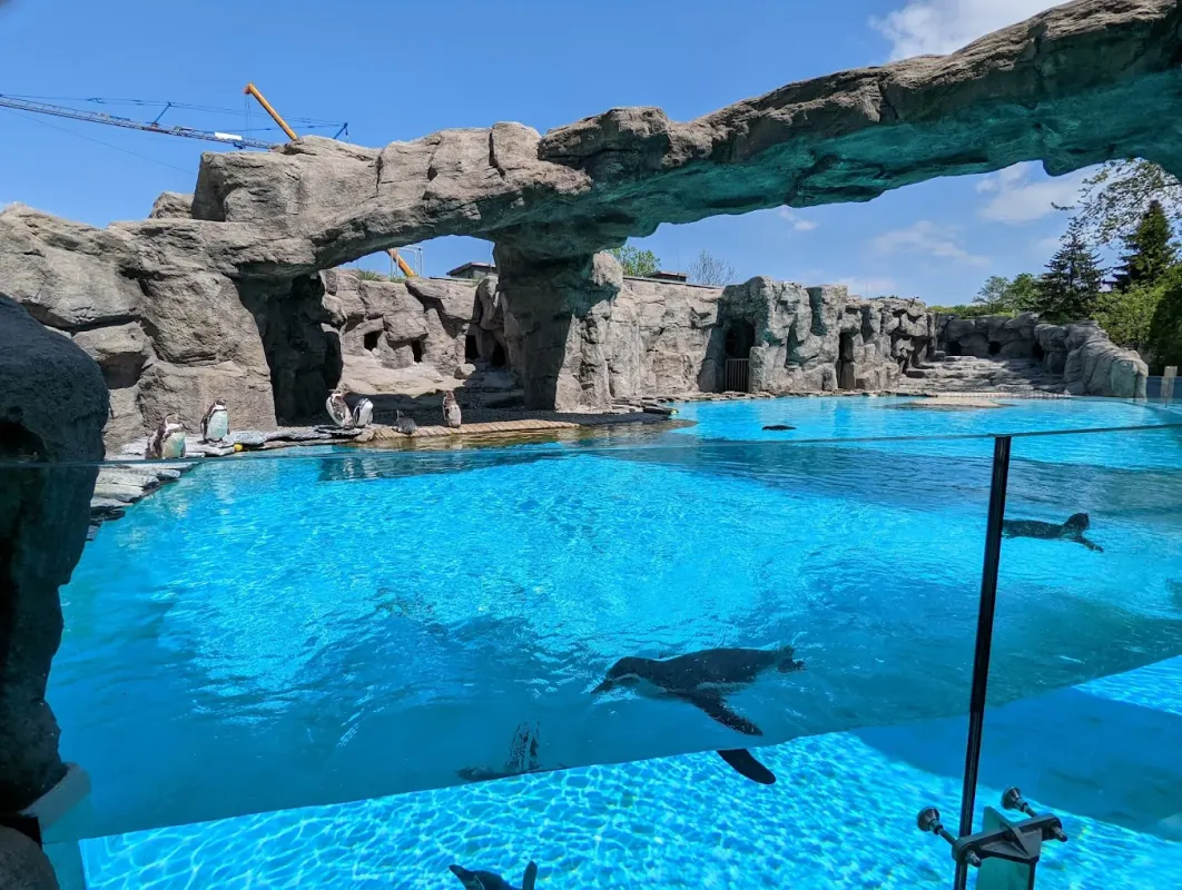 Śląski Ogród Zoologiczny